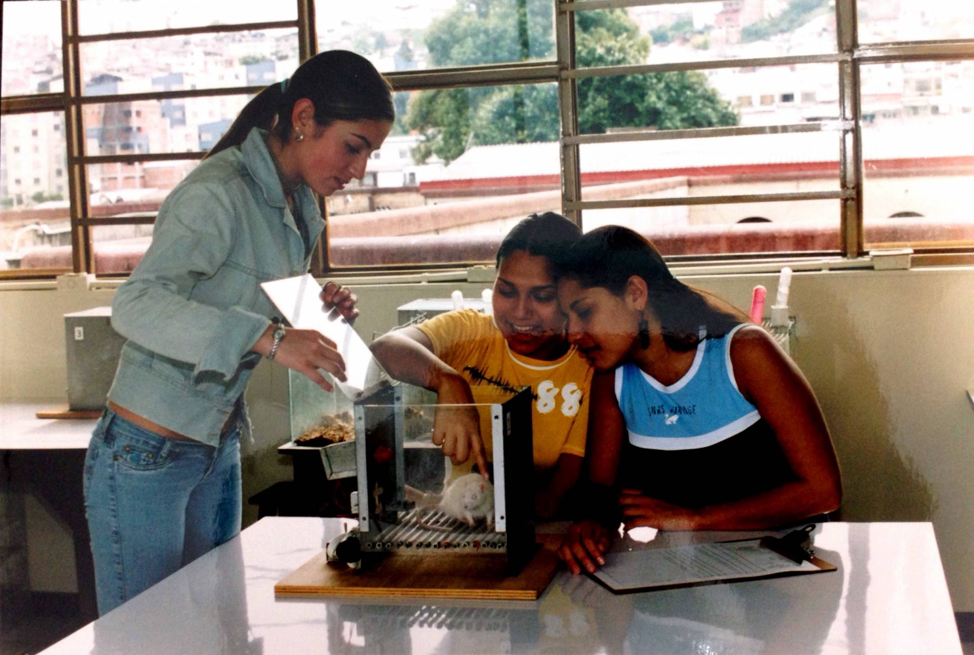 Investigación 2