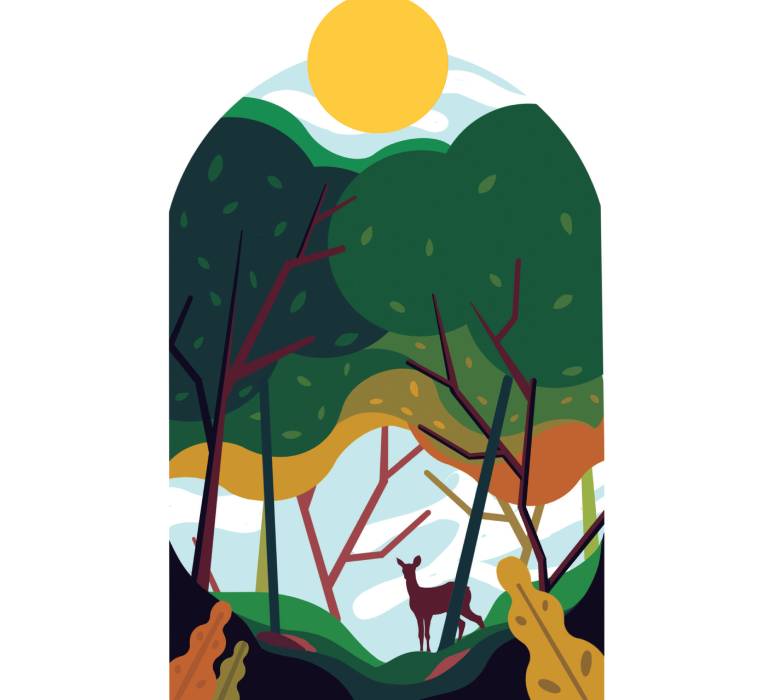 salvarBosque2