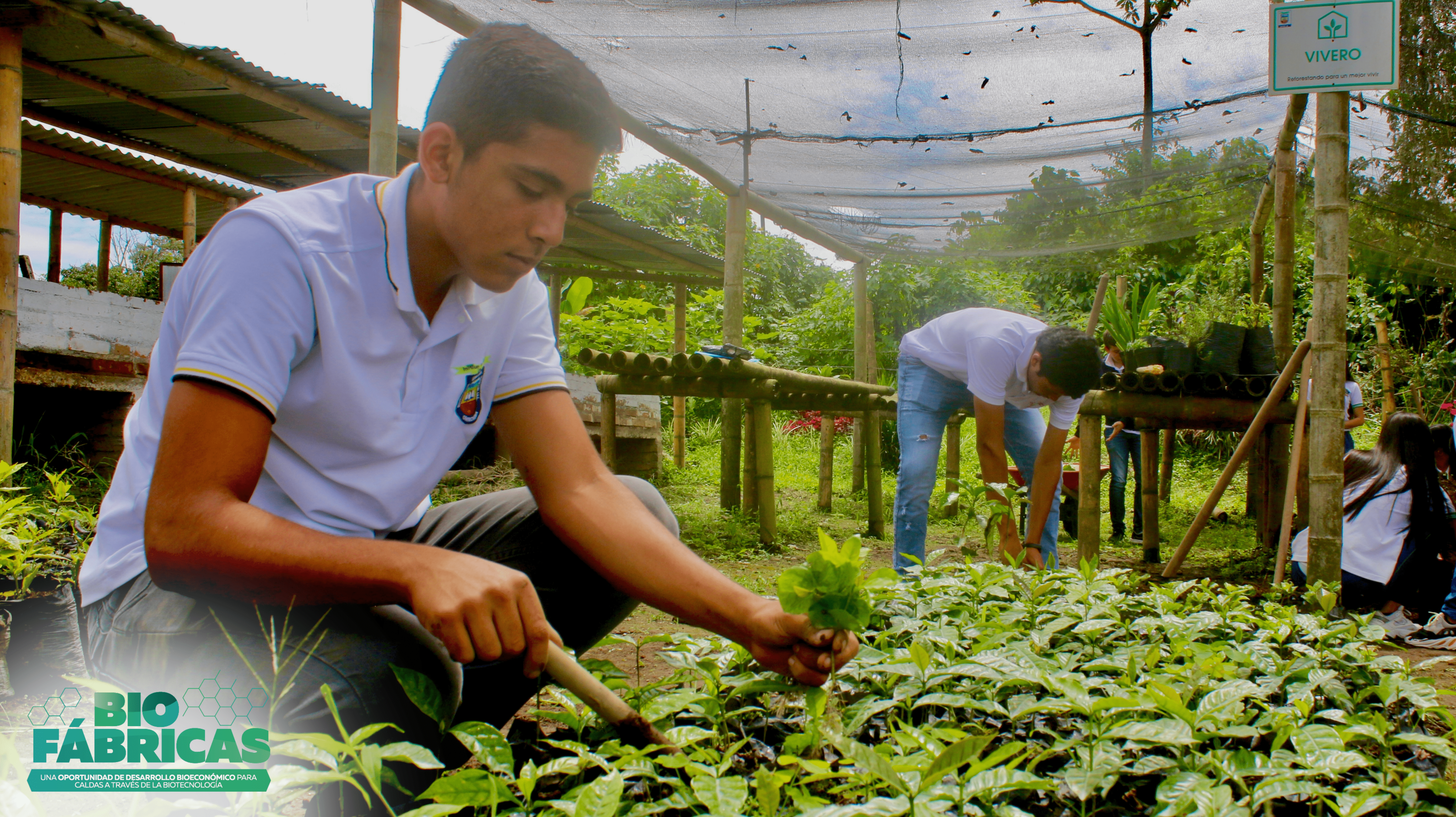 Biofábricas llega a la Institución Educativa Naranjal en Chinchiná, Caldas