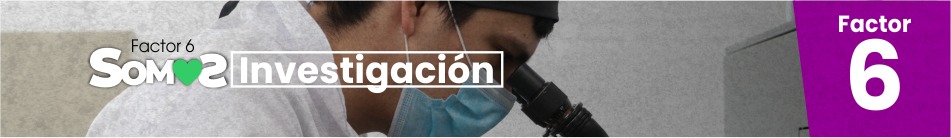 Somos investigación