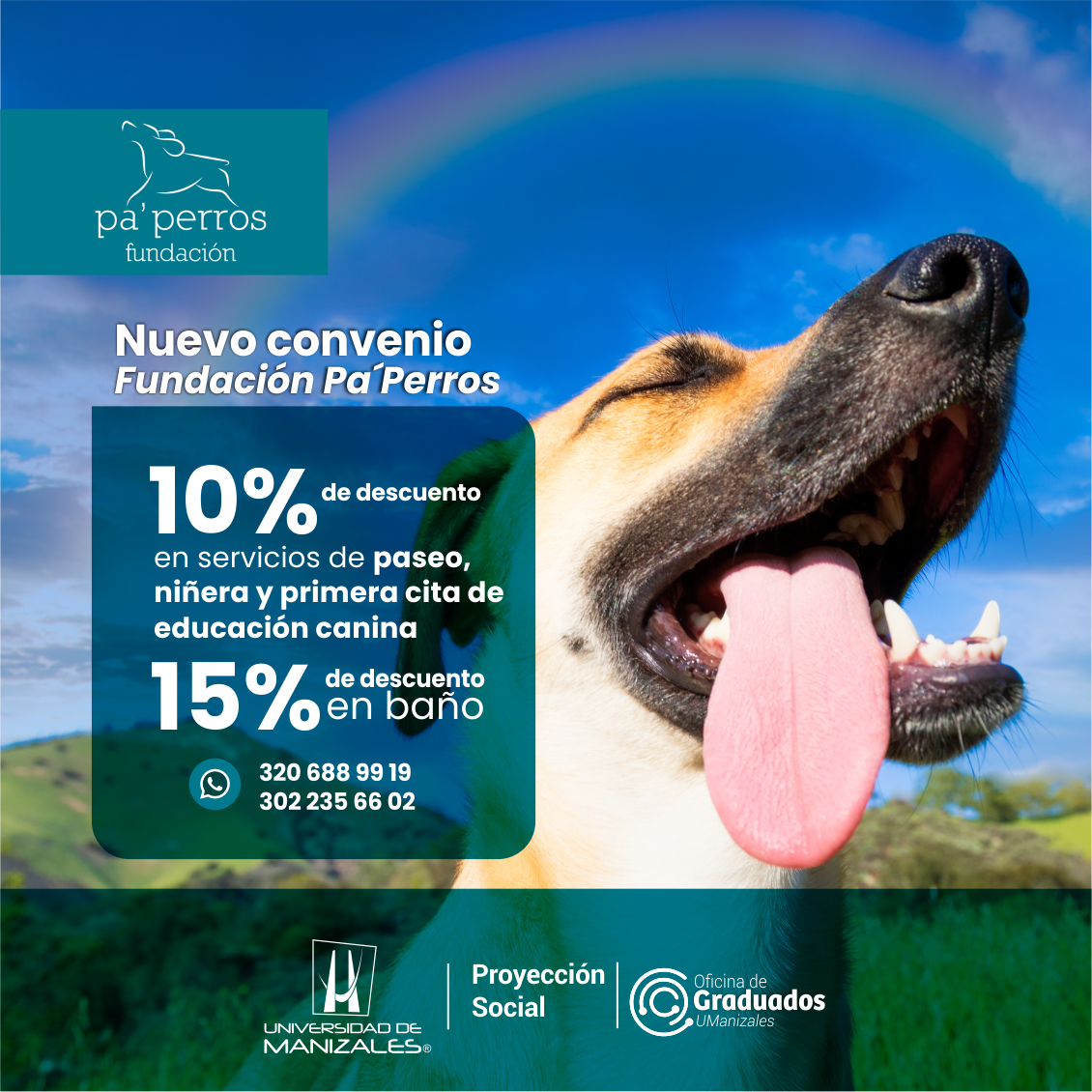 convenio_pa_perros_post