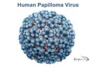 Infección-por-el-Virus-del-Papiloma-Humano-VPH-300x219